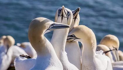 九游体育官方app-世界杯预选赛U23国足出战 数据分析揭示问题，u23世界杯百度百科