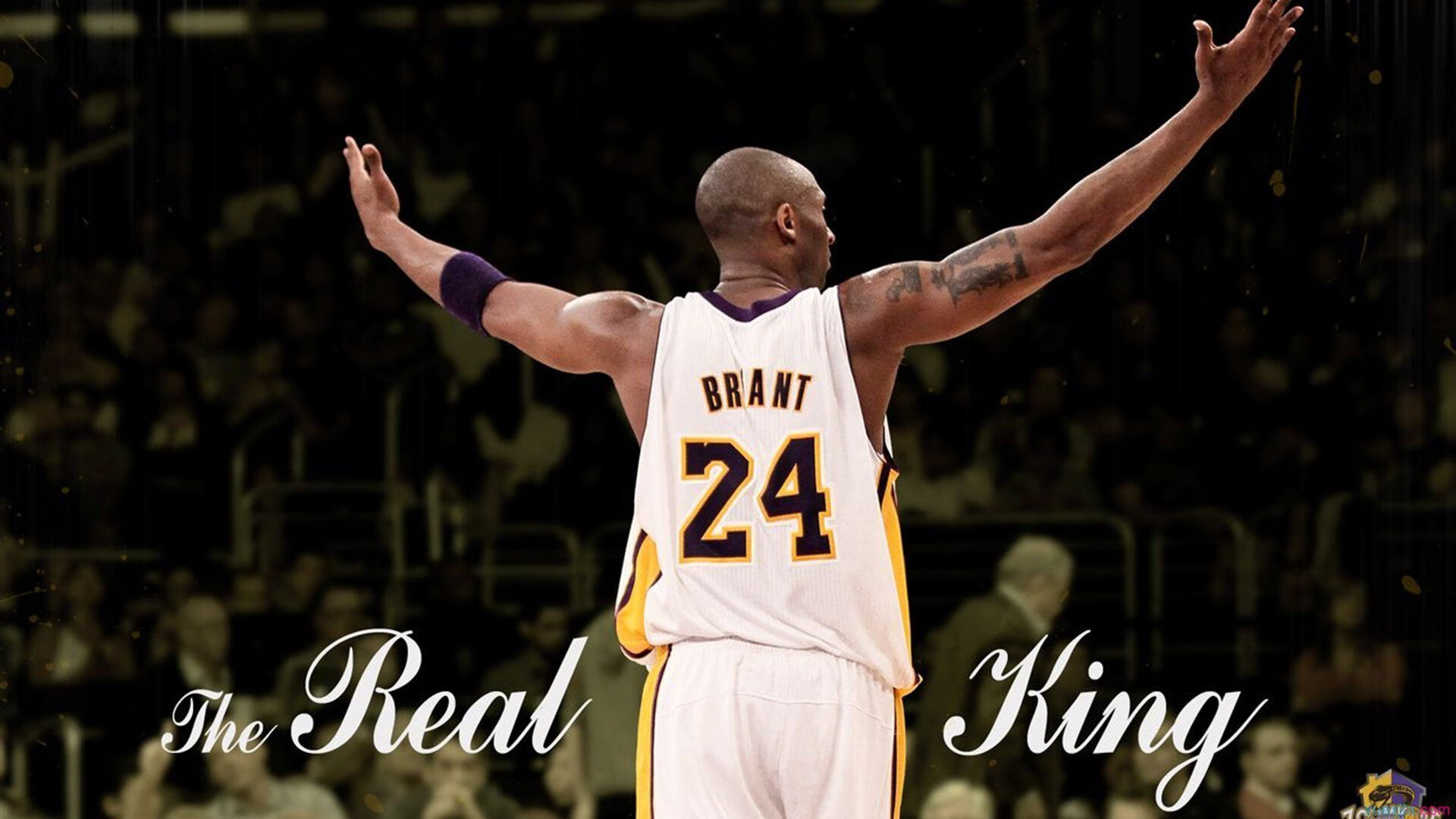 76人计划招募球迷参与虚拟主场设计投票,76人官方